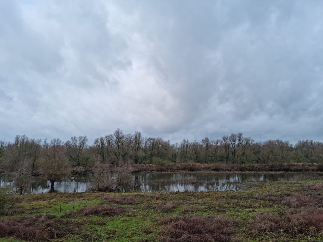 Millingerwaard