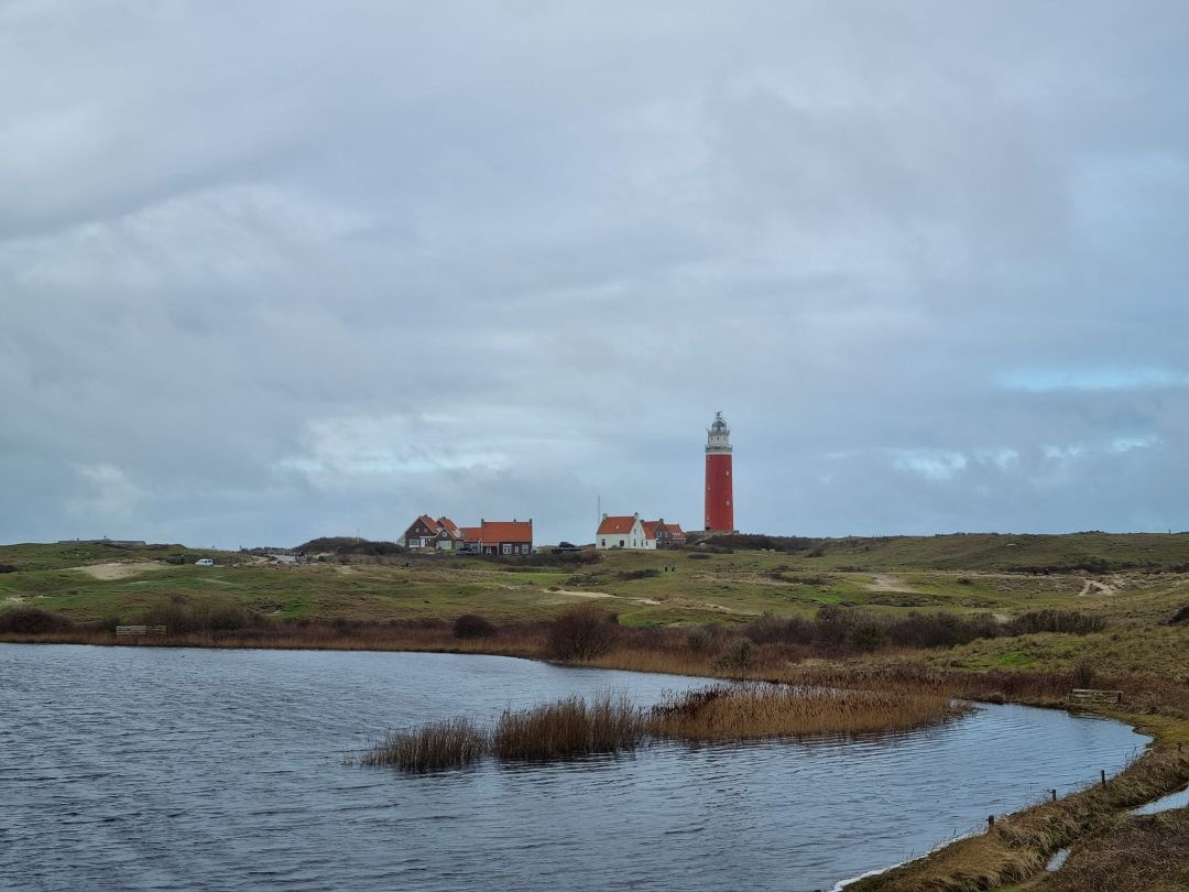 Texel (2)