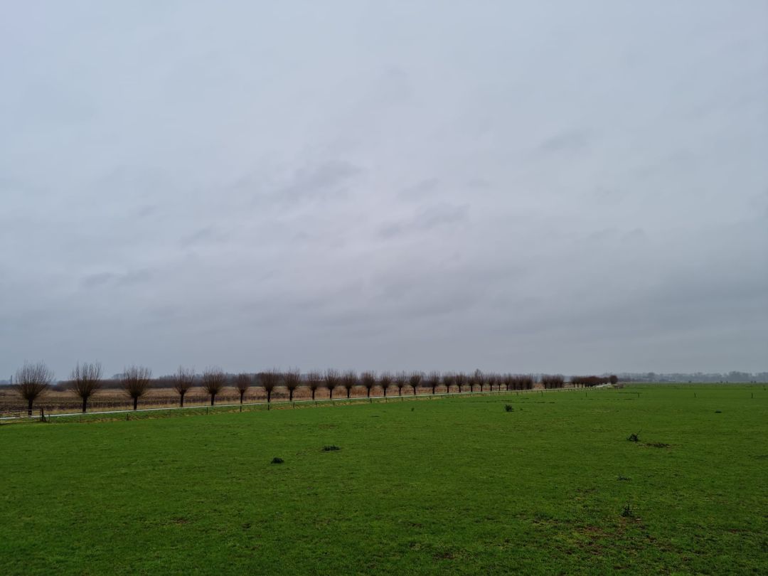 Persingen