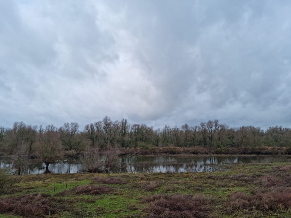 Millingerwaard