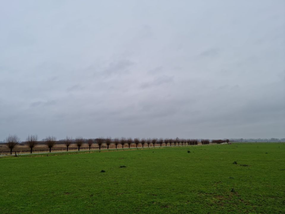 Persingen