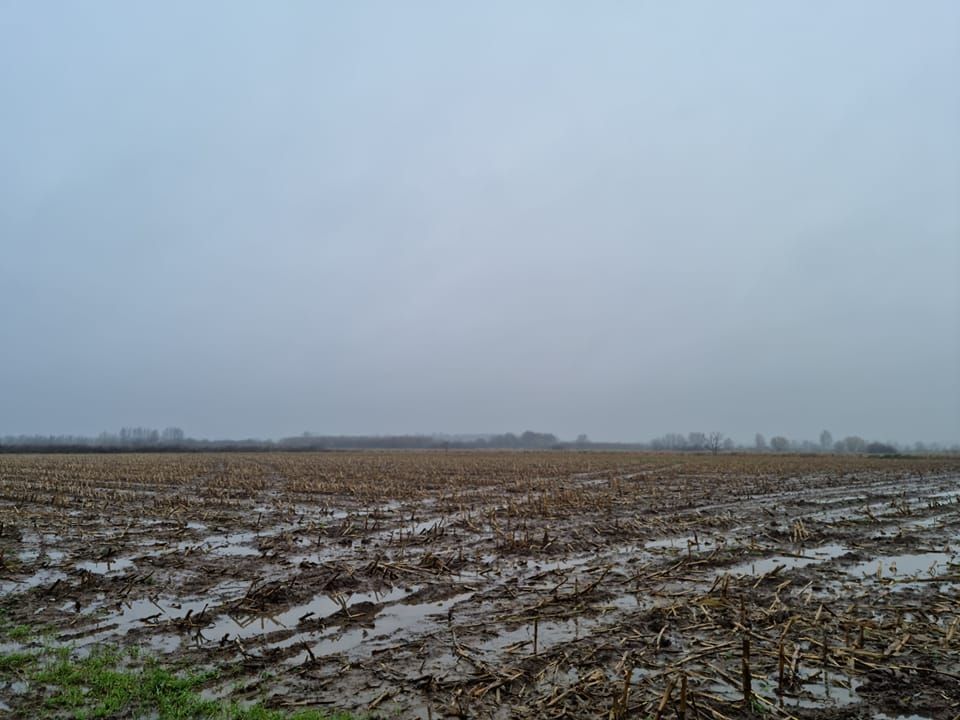 Ooijpolder