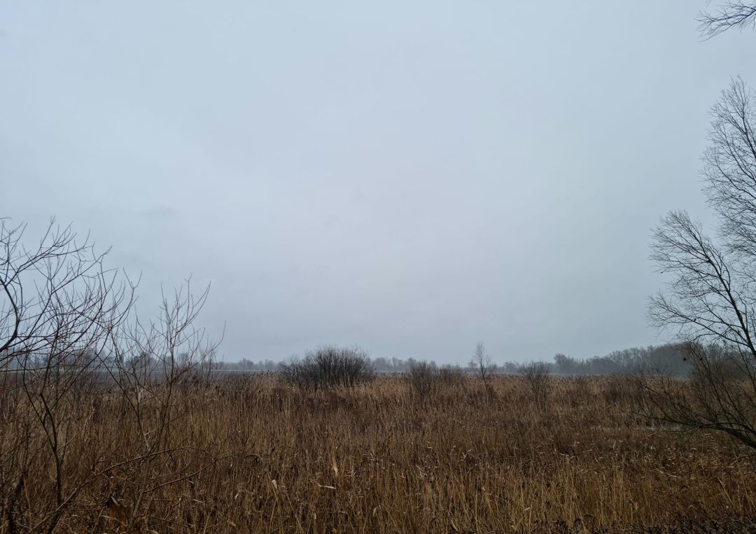 Ooijpolder (3)