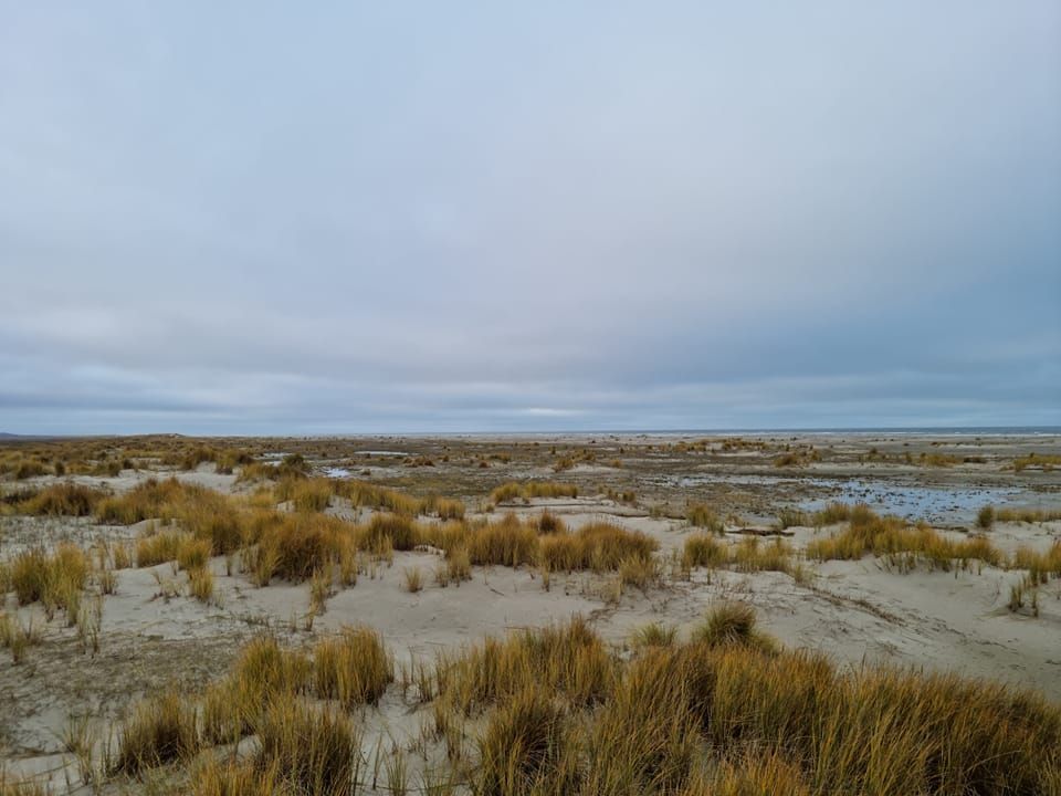 Schiermonnikoog
