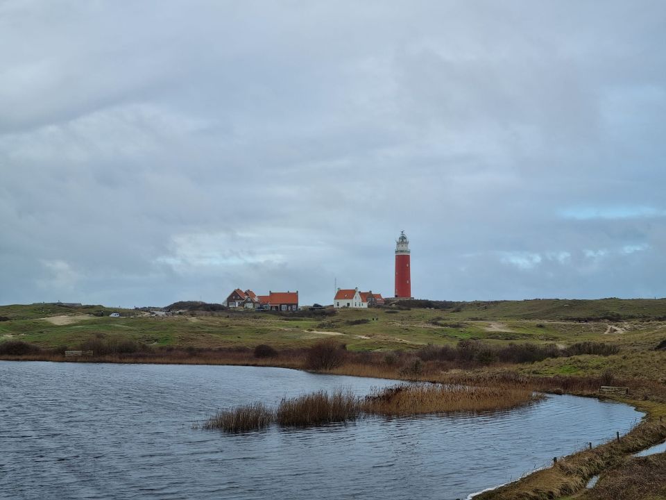 Texel (2)