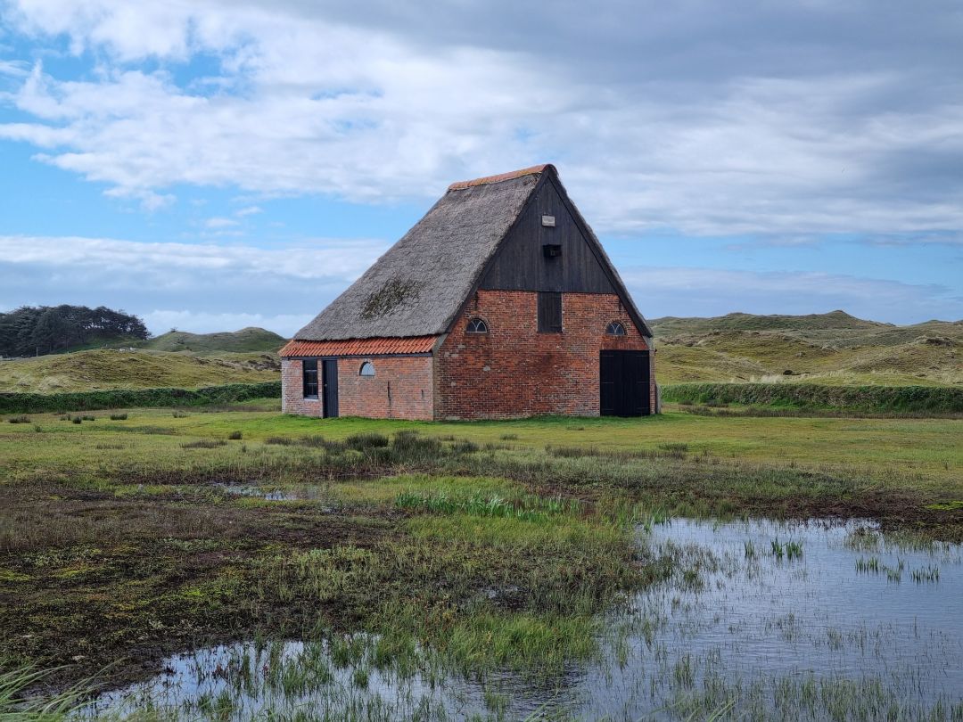Texel (4)