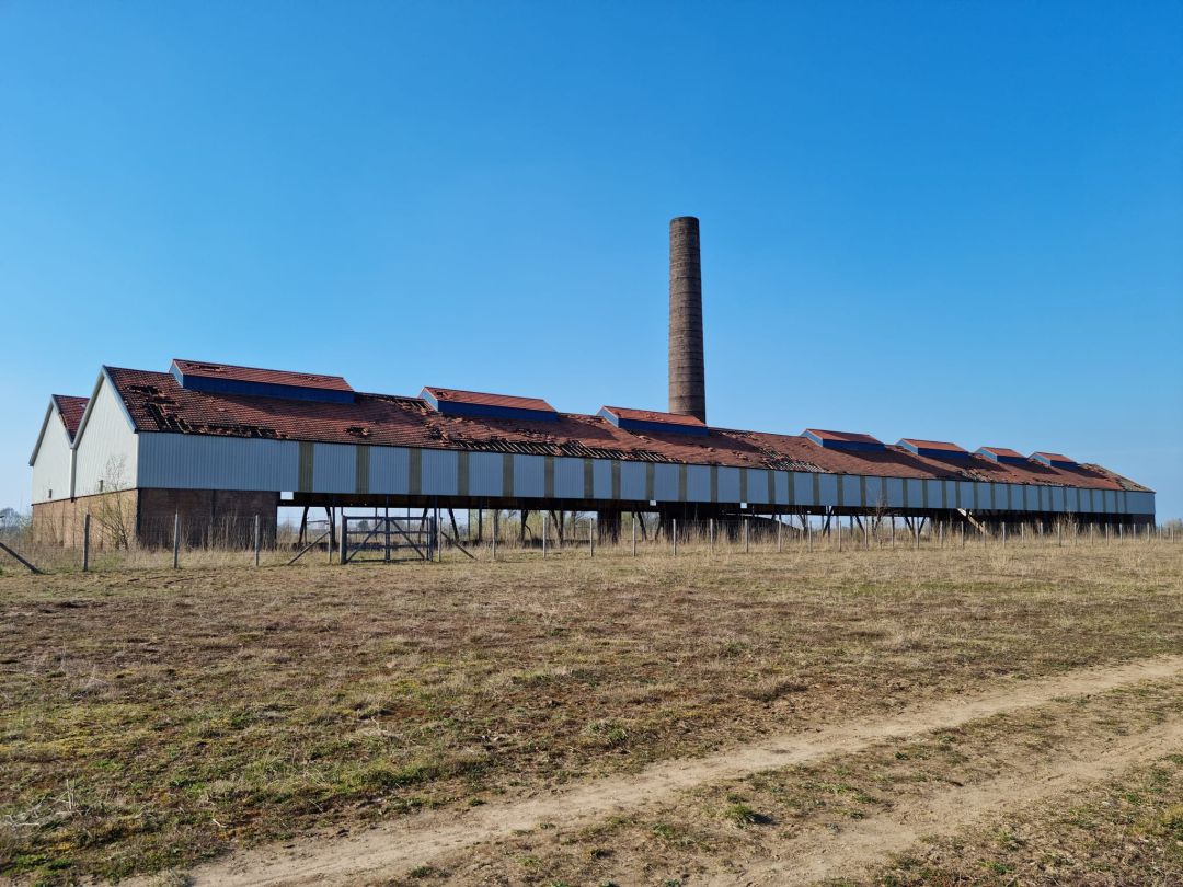 Millingerwaard (2)