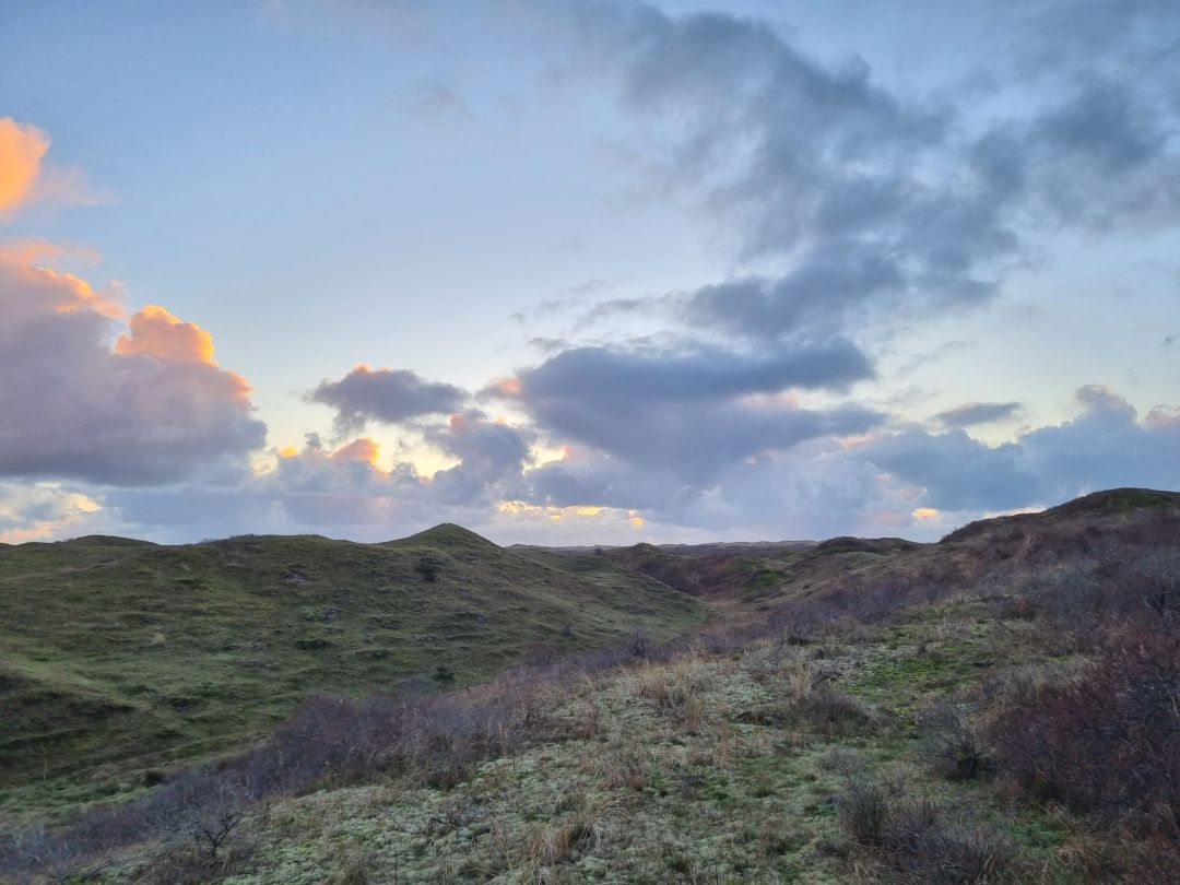 Texel (6)
