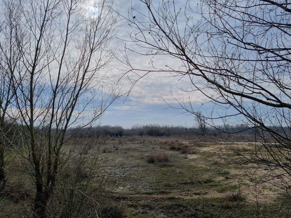 Millingerwaard (6)