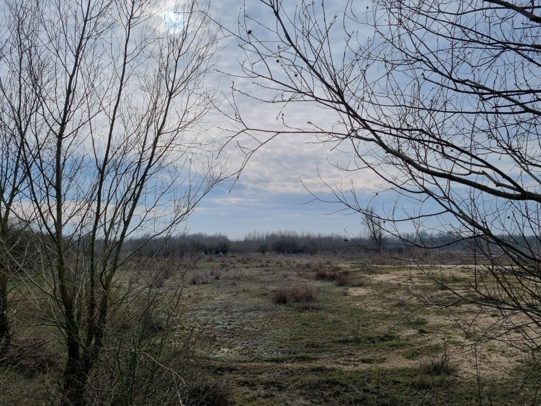 Millingerwaard (6)