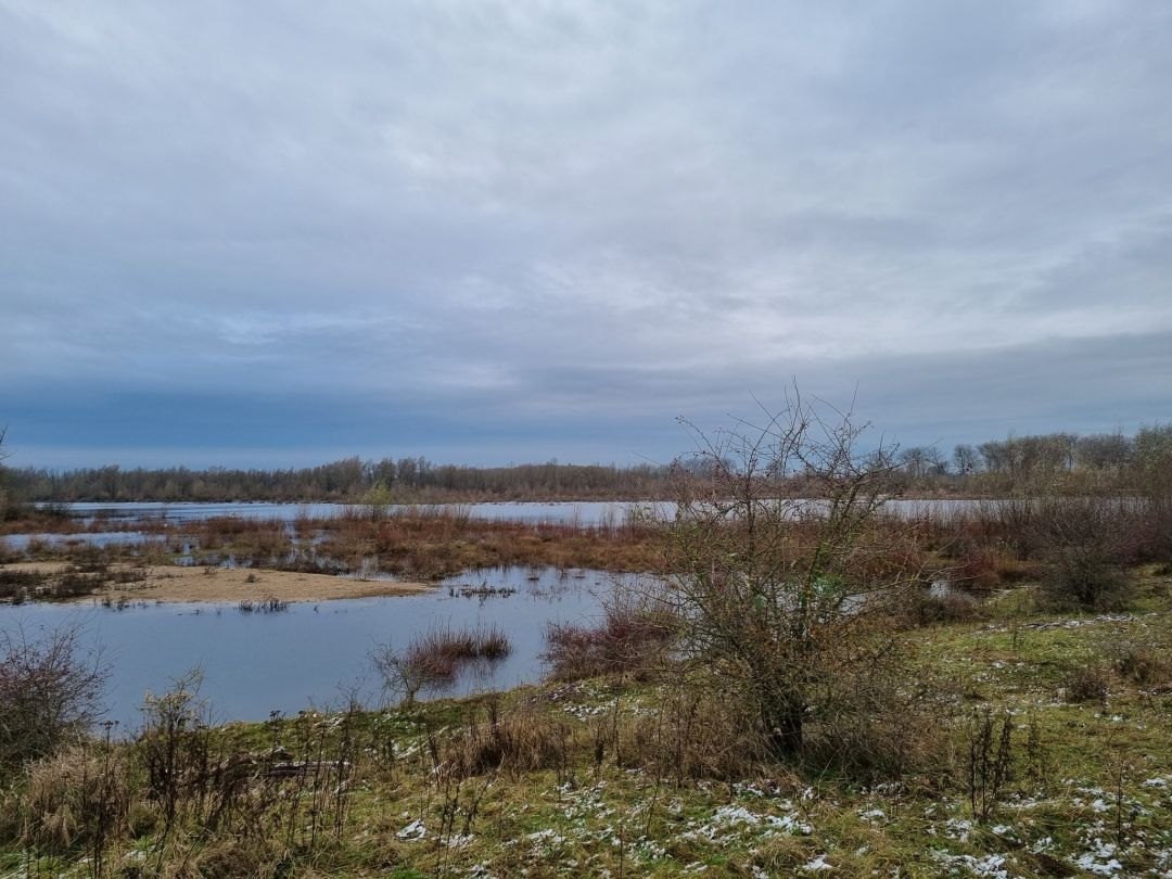 Millingerwaard (5)