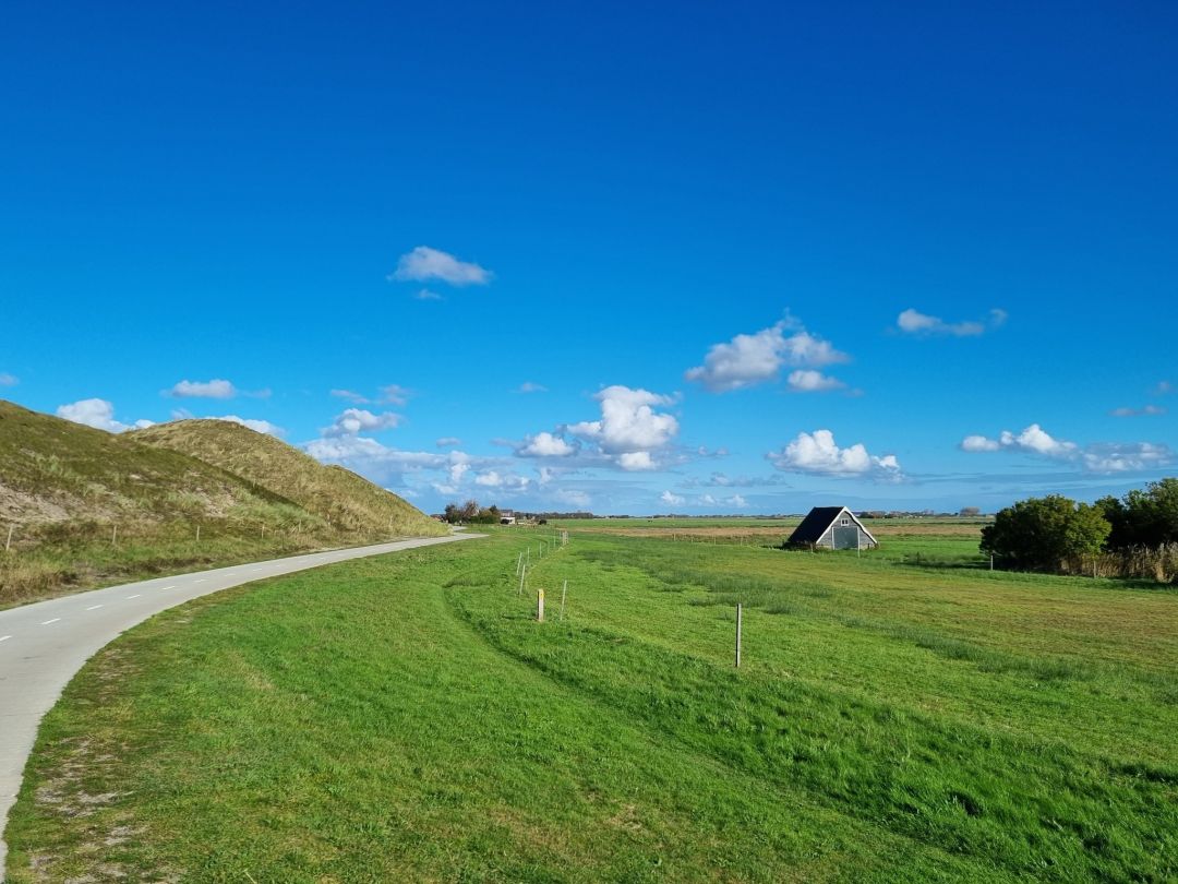 Texel